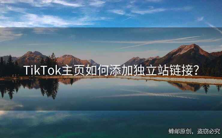 TikTok主頁如何添加獨(dú)立站鏈接？