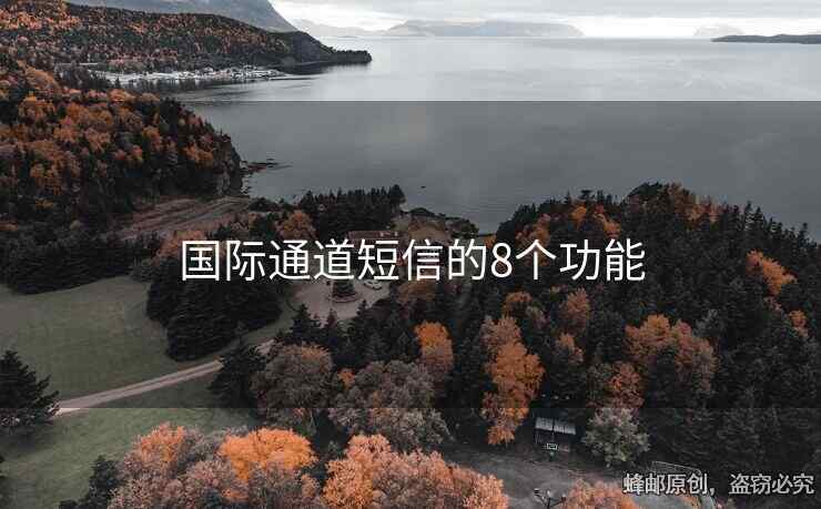 國際通道短信的8個功能