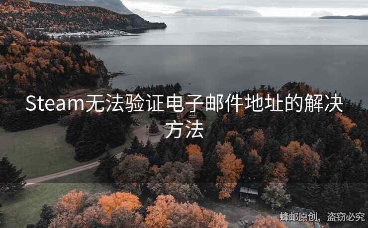 Steam無法驗(yàn)證電子郵件地址的解決方法