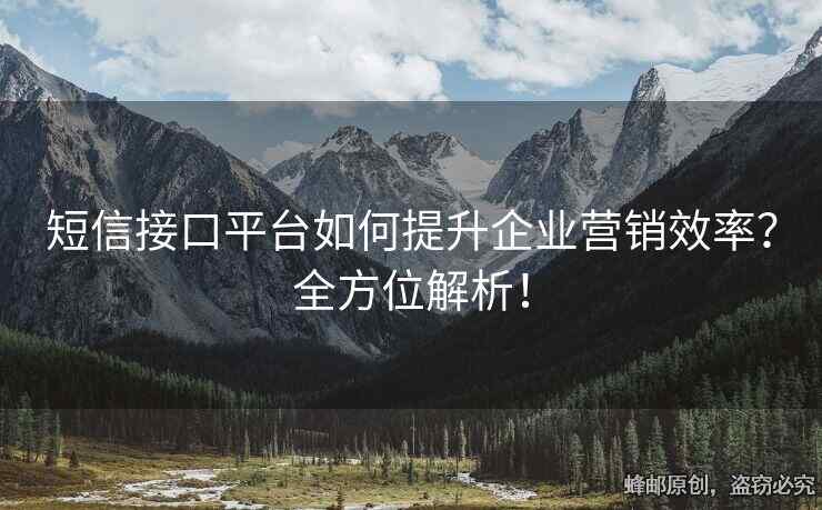 短信接口平臺(tái)如何提升企業(yè)營(yíng)銷效率？全方位解析！