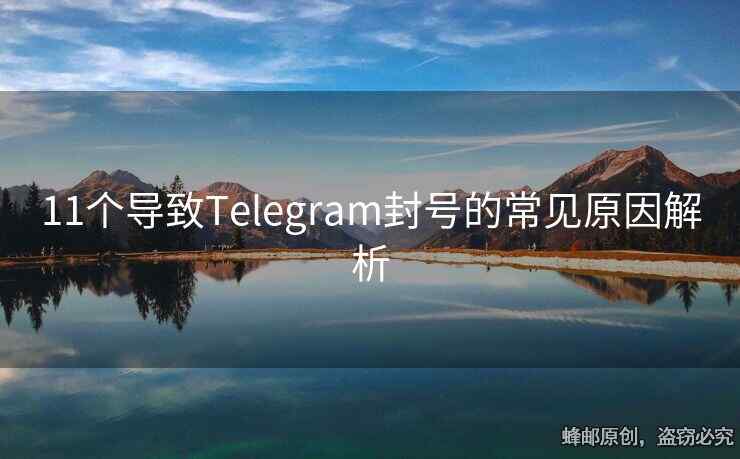 11個(gè)導(dǎo)致Telegram封號(hào)的常見(jiàn)原因解析