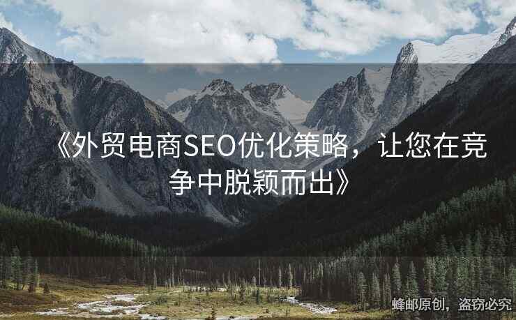《外貿(mào)電商SEO優(yōu)化策略，讓您在競爭中脫穎而出》