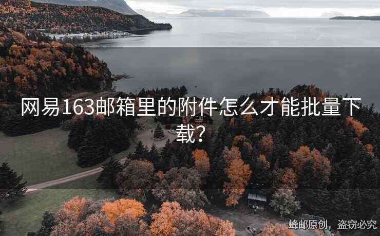 網(wǎng)易163郵箱里的附件怎么才能批量下載？