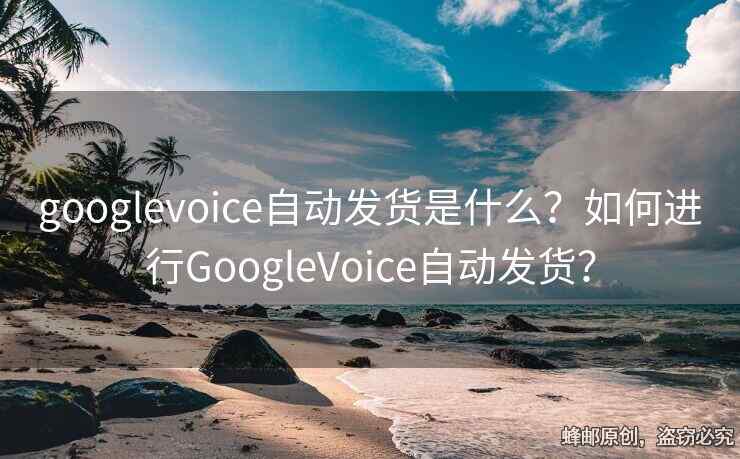 googlevoice自動發(fā)貨是什么？如何進行GoogleVoice自動發(fā)貨？