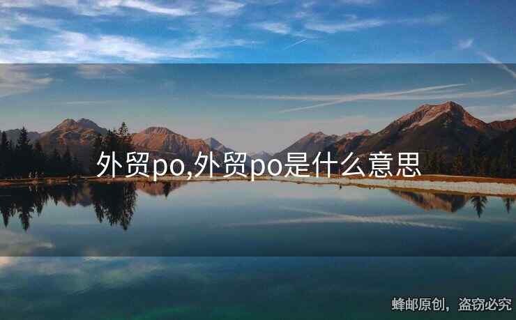 外貿(mào)po,外貿(mào)po是什么意思