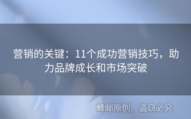 營銷的關(guān)鍵：11個成功營銷技巧，助力品牌成長和市場突破