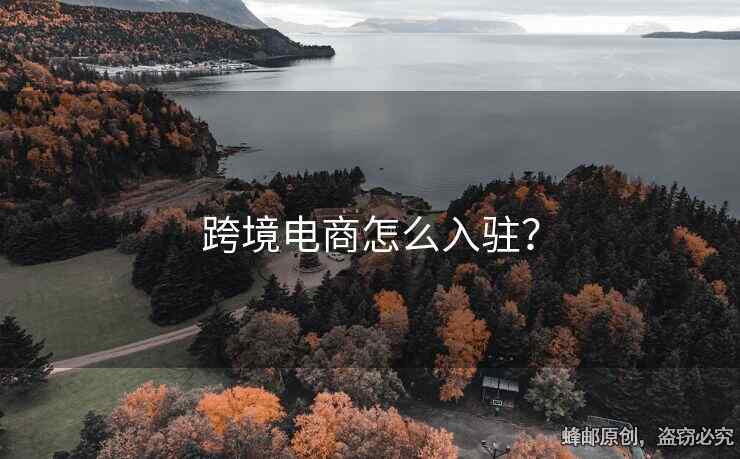 跨境電商怎么入駐？