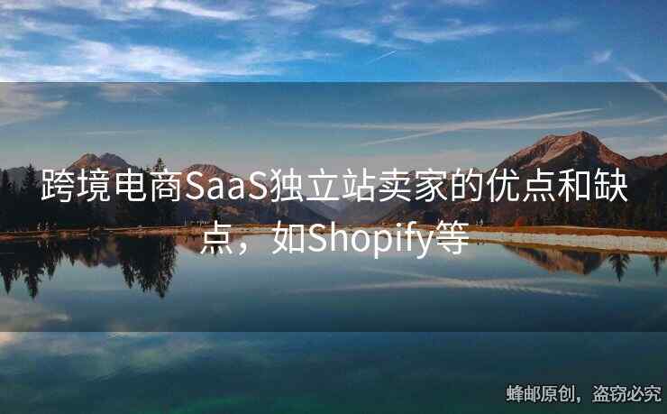 跨境電商SaaS獨立站賣家的優(yōu)點和缺點，如Shopify等