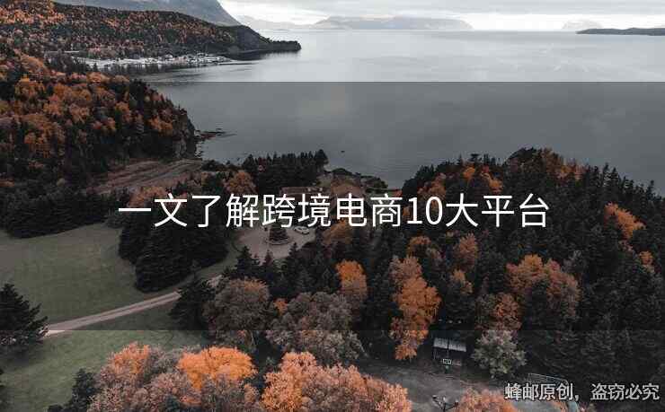一文了解跨境電商10大平臺(tái)