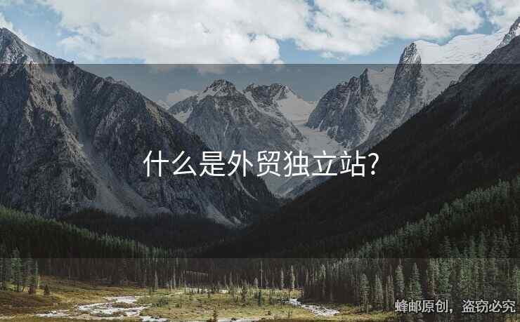 什么是外貿獨立站?