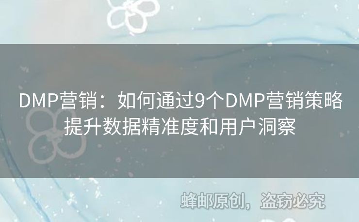 DMP營銷：如何通過9個DMP營銷策略提升數(shù)據(jù)精準(zhǔn)度和用戶洞察