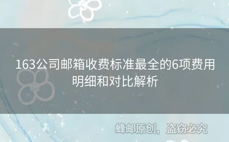 163公司郵箱收費標(biāo)準(zhǔn)最全的6項費用明細(xì)和對比解析