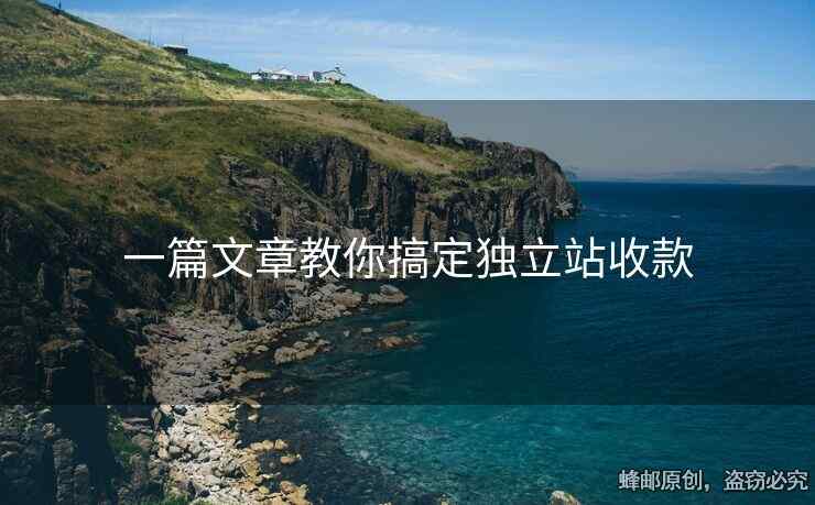 一篇文章教你搞定獨(dú)立站收款