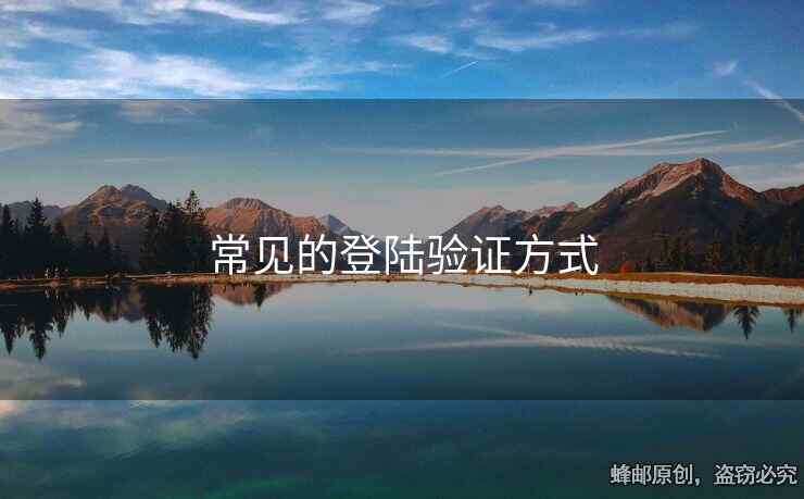 常見(jiàn)的登陸驗(yàn)證方式