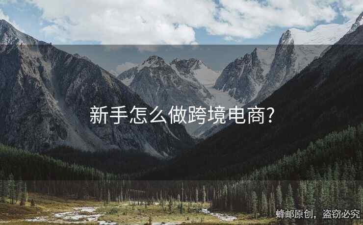 新手怎么做跨境電商?