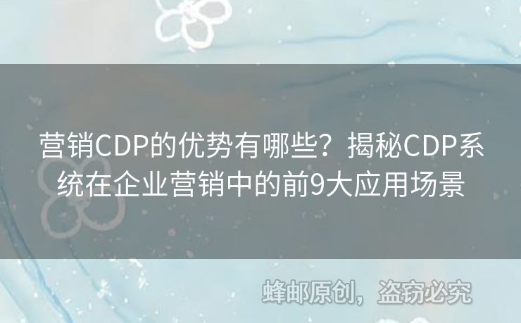 營銷CDP的優(yōu)勢有哪些？揭秘CDP系統(tǒng)在企業(yè)營銷中的前9大應(yīng)用場景