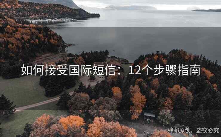 如何接受國際短信：12個步驟指南