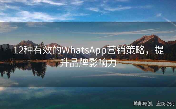 12種有效的WhatsApp營(yíng)銷策略，提升品牌影響力