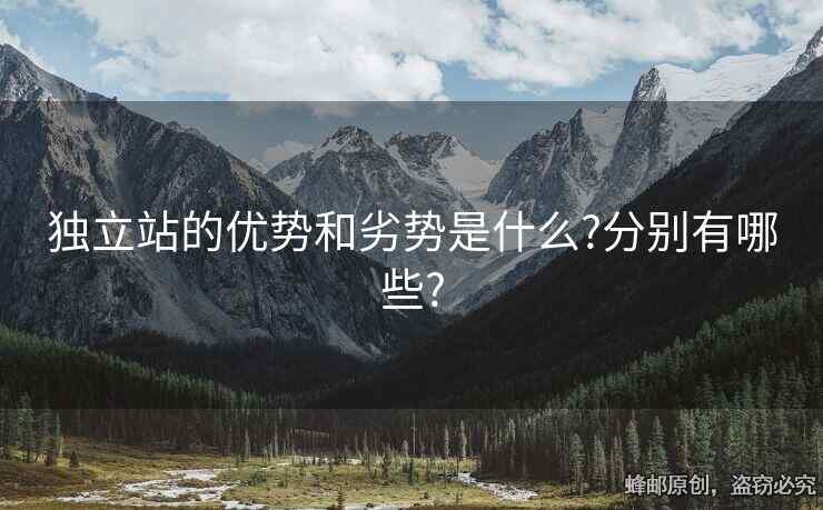 獨(dú)立站的優(yōu)勢(shì)和劣勢(shì)是什么?分別有哪些?