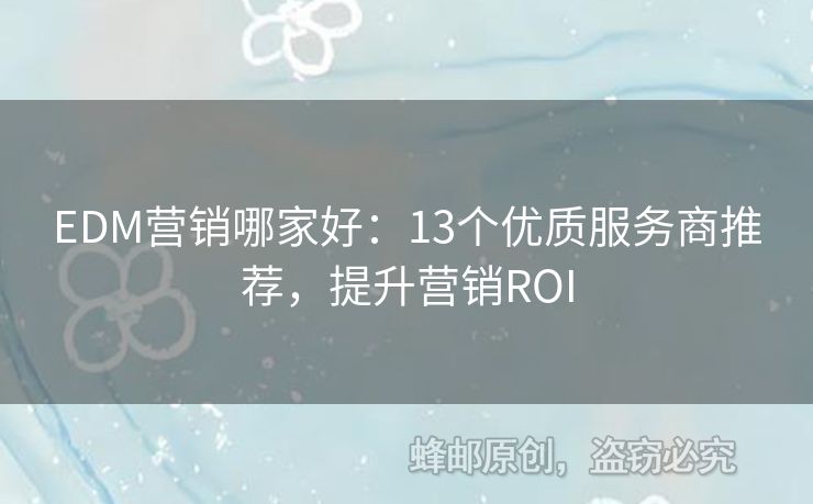 EDM營銷哪家好：13個優(yōu)質服務商推薦，提升營銷ROI