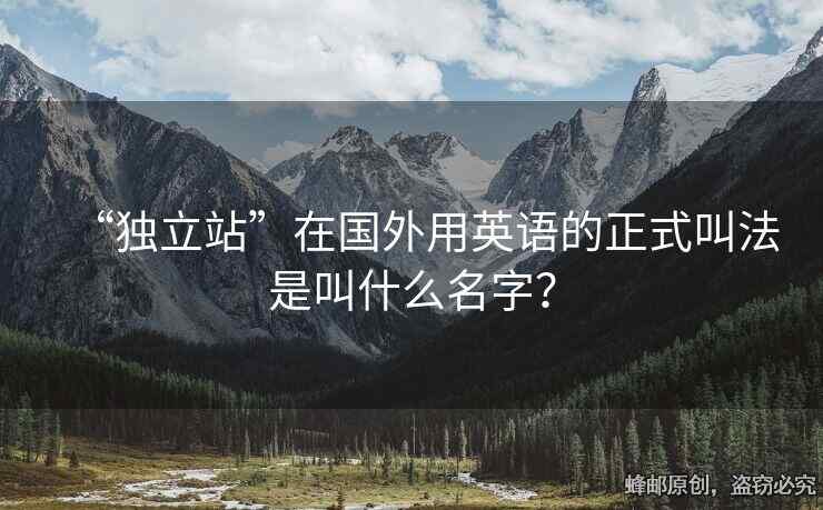 “獨(dú)立站”在國外用英語的正式叫法是叫什么名字？