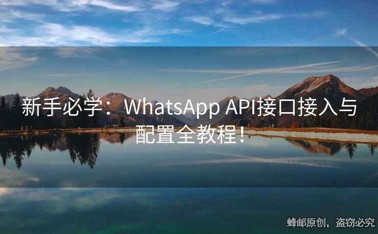 新手必學(xué)：WhatsApp API接口接入與配置全教程！