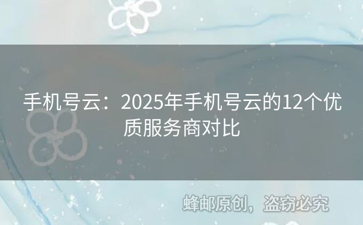手機(jī)號(hào)云：2025年手機(jī)號(hào)云的12個(gè)優(yōu)質(zhì)服務(wù)商對(duì)比