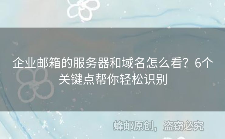 企業(yè)郵箱的服務(wù)器和域名怎么看？6個(gè)關(guān)鍵點(diǎn)幫你輕松識(shí)別