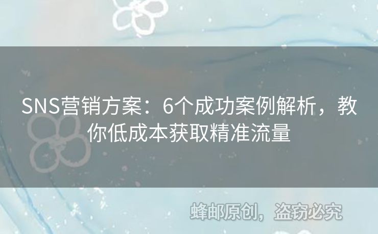 SNS營(yíng)銷方案：6個(gè)成功案例解析，教你低成本獲取精準(zhǔn)流量