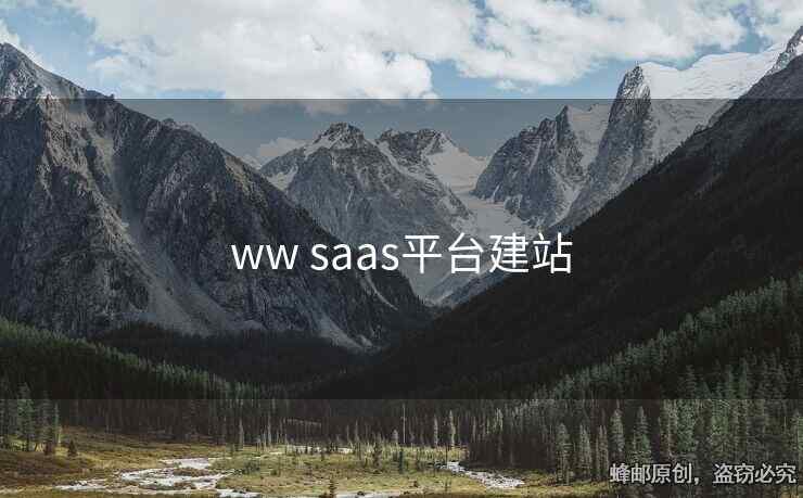 ww saas平臺建站