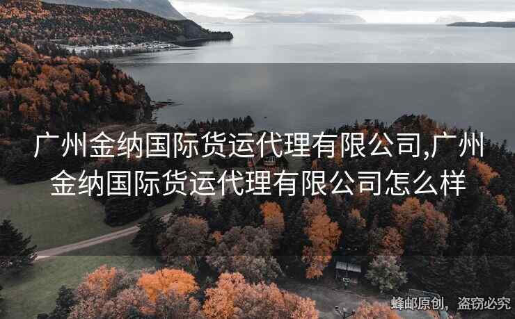 廣州金納國際貨運(yùn)代理有限公司,廣州金納國際貨運(yùn)代理有限公司怎么樣