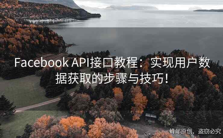 Facebook API接口教程：實現(xiàn)用戶數(shù)據(jù)獲取的步驟與技巧！