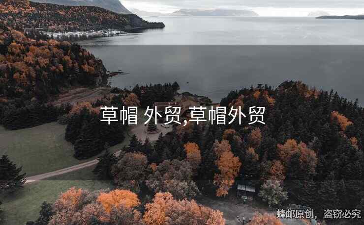 草帽 外貿(mào),草帽外貿(mào)