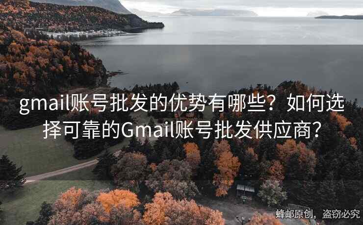 gmail賬號批發(fā)的優(yōu)勢有哪些？如何選擇可靠的Gmail賬號批發(fā)供應(yīng)商？