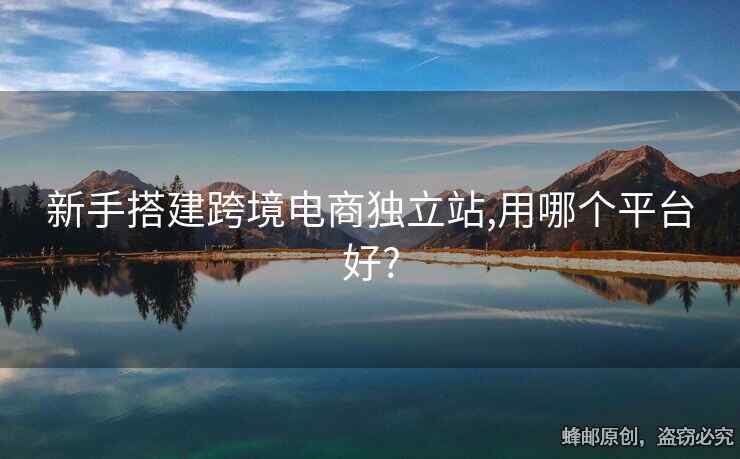新手搭建跨境電商獨立站,用哪個平臺好?