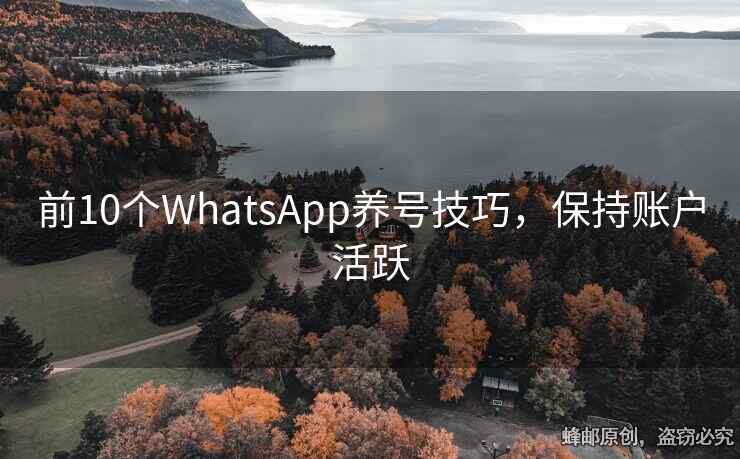 前10個(gè)WhatsApp養(yǎng)號技巧，保持賬戶活躍