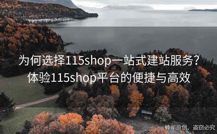 為何選擇115shop一站式建站服務(wù)？體驗115shop平臺的便捷與高效
