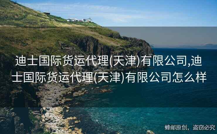 迪士國際貨運代理(天津)有限公司,迪士國際貨運代理(天津)有限公司怎么樣