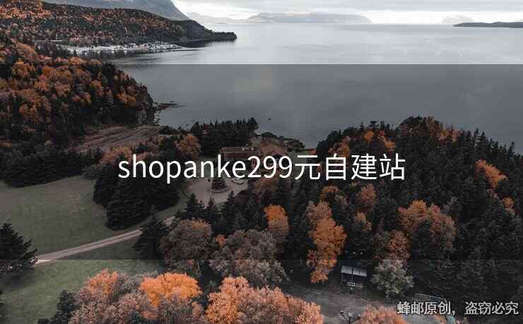 shopanke299元自建站