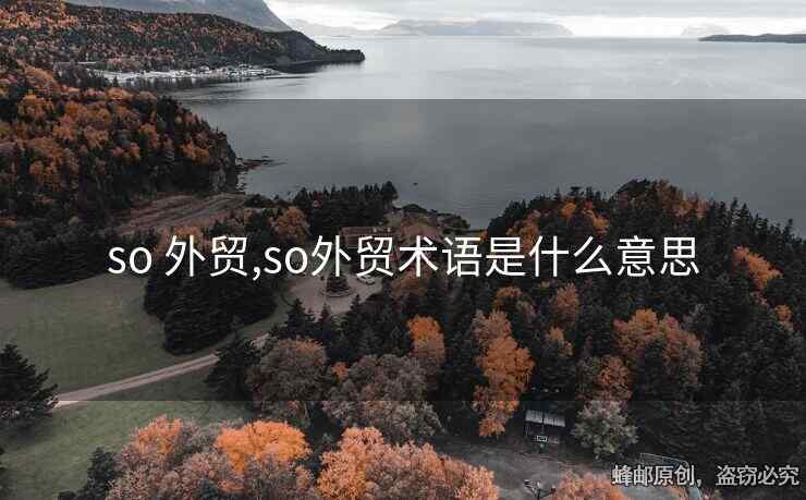 so 外貿(mào),so外貿(mào)術(shù)語(yǔ)是什么意思