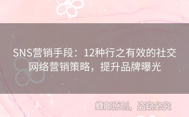 SNS營銷手段：12種行之有效的社交網(wǎng)絡(luò)營銷策略，提升品牌曝光