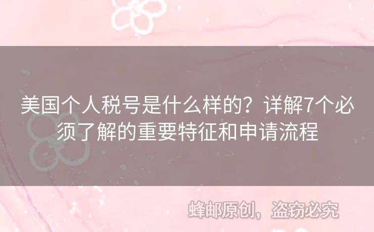 美國個人稅號是什么樣的？詳解7個必須了解的重要特征和申請流程