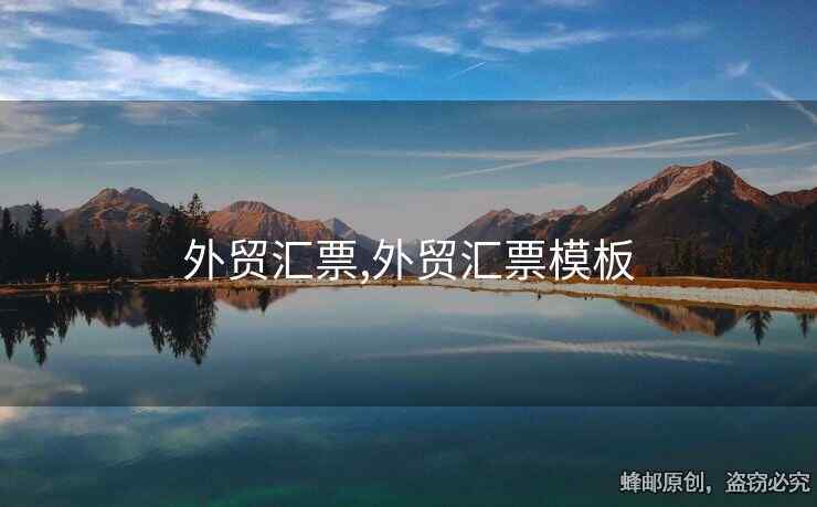 外貿(mào)匯票,外貿(mào)匯票模板