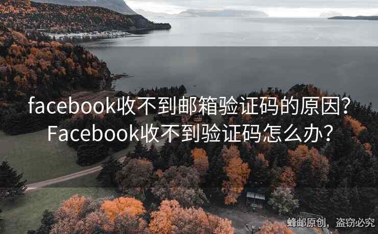 facebook收不到郵箱驗證碼的原因？Facebook收不到驗證碼怎么辦？