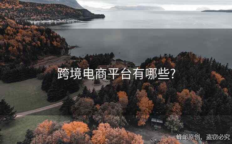 跨境電商平臺有哪些?