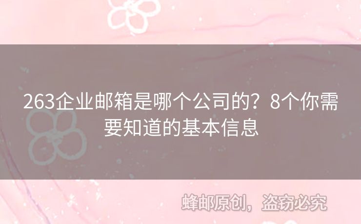 263企業(yè)郵箱是哪個公司的？8個你需要知道的基本信息