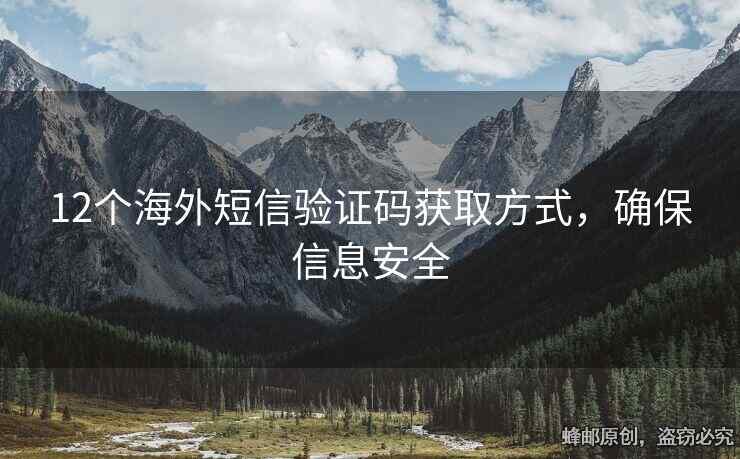 12個海外短信驗證碼獲取方式，確保信息安全