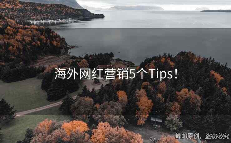 海外網(wǎng)紅營(yíng)銷5個(gè)Tips！